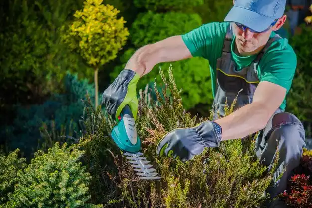 landscaping services Steelville